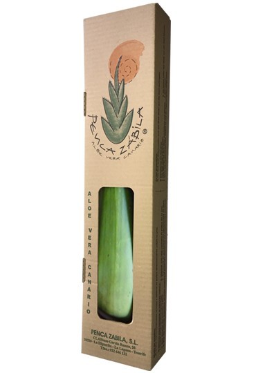 Hoja de Aloe Vera canario Barbadensis Miller Canariensis (subespecie canaria)
Caja color con ventana e información Multilingüe sobre tratamientos y usos
Edad: 7 años – Máximo nivel de principios activos
Dimensiones planta 50/60 cm.
Peso Neto: 500 -700 g.